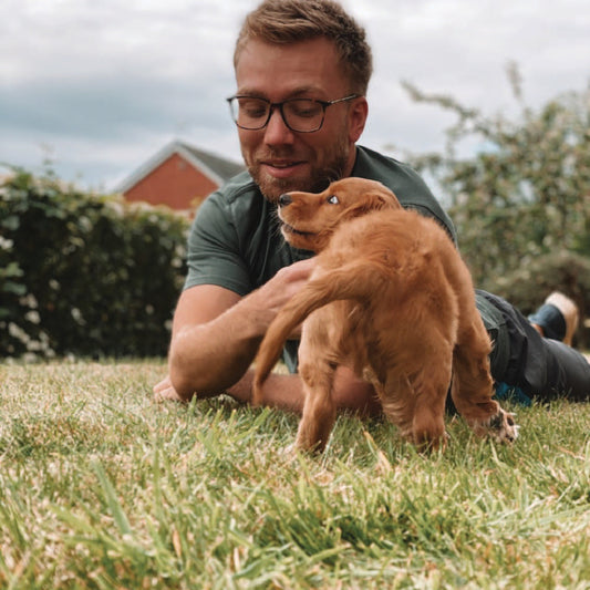 How to: bribe your dog and pass it off as tricks.