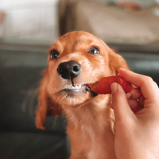 The one with all the poo.