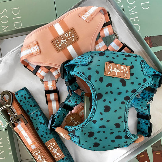 Charlie + Co: The story behind our business