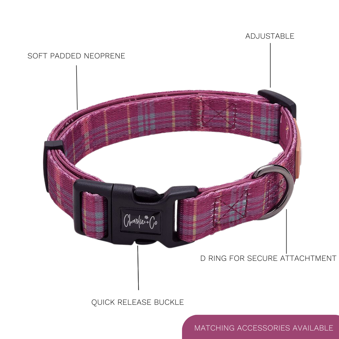 Check Her Out - Collar