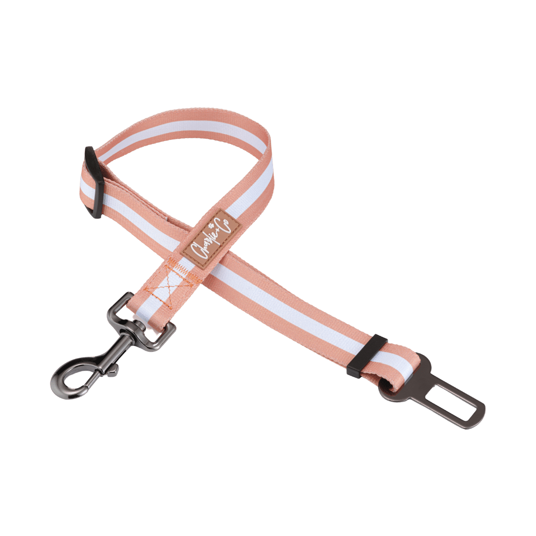 Life's a Peach - Seatbelt