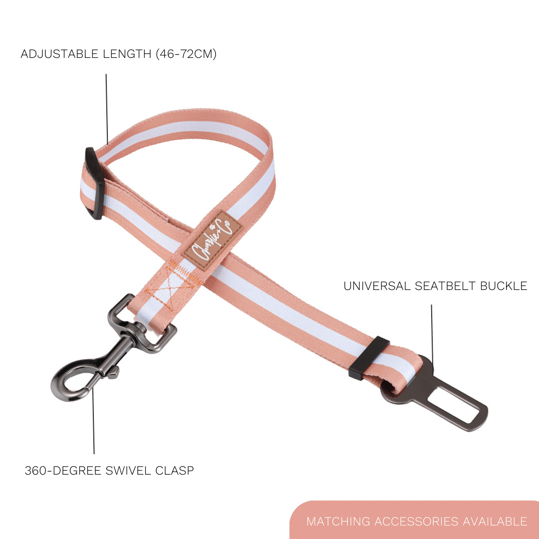 Life's a Peach - Seatbelt