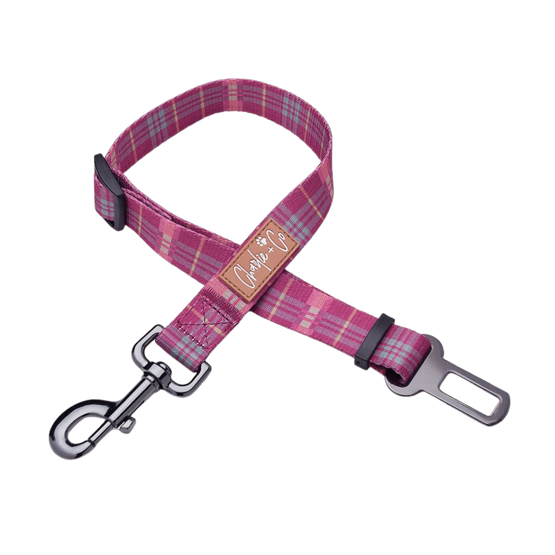 Check Her Out - Seatbelt