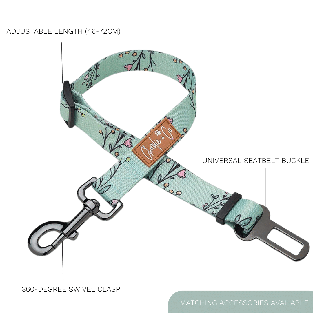Are You FLOREAL? - Seatbelt