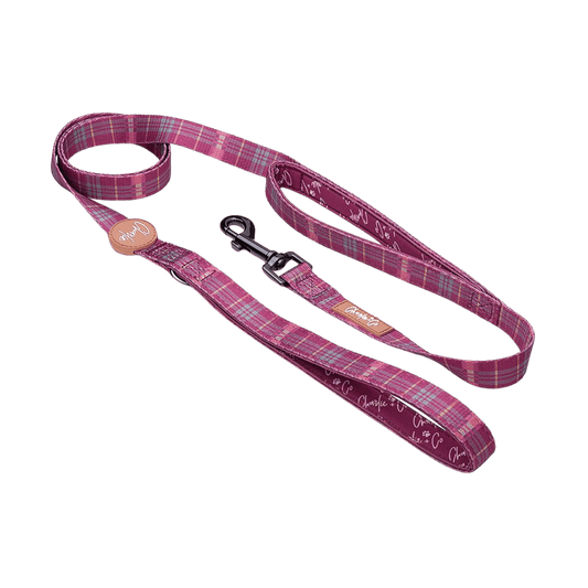 Check Her Out - Lead