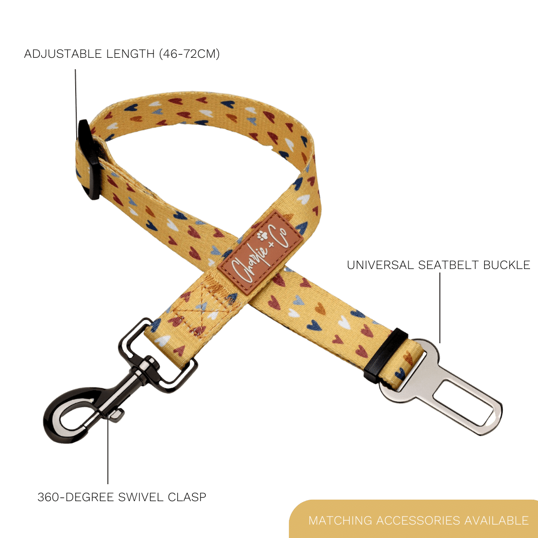 Mustard Been Love - Seatbelt