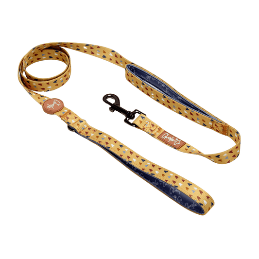 Mustard Been Love - Lead