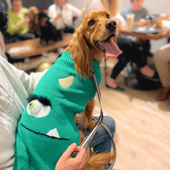 HOWL-O-WEEN PAWTY