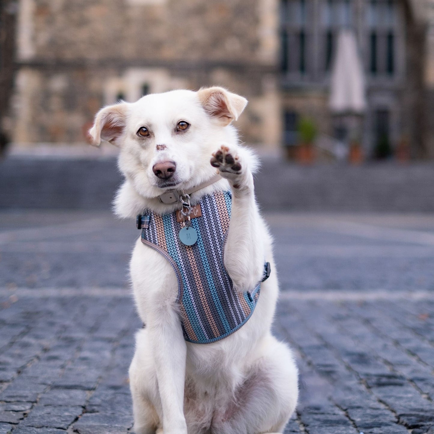 Made With Woof - Step In Harness