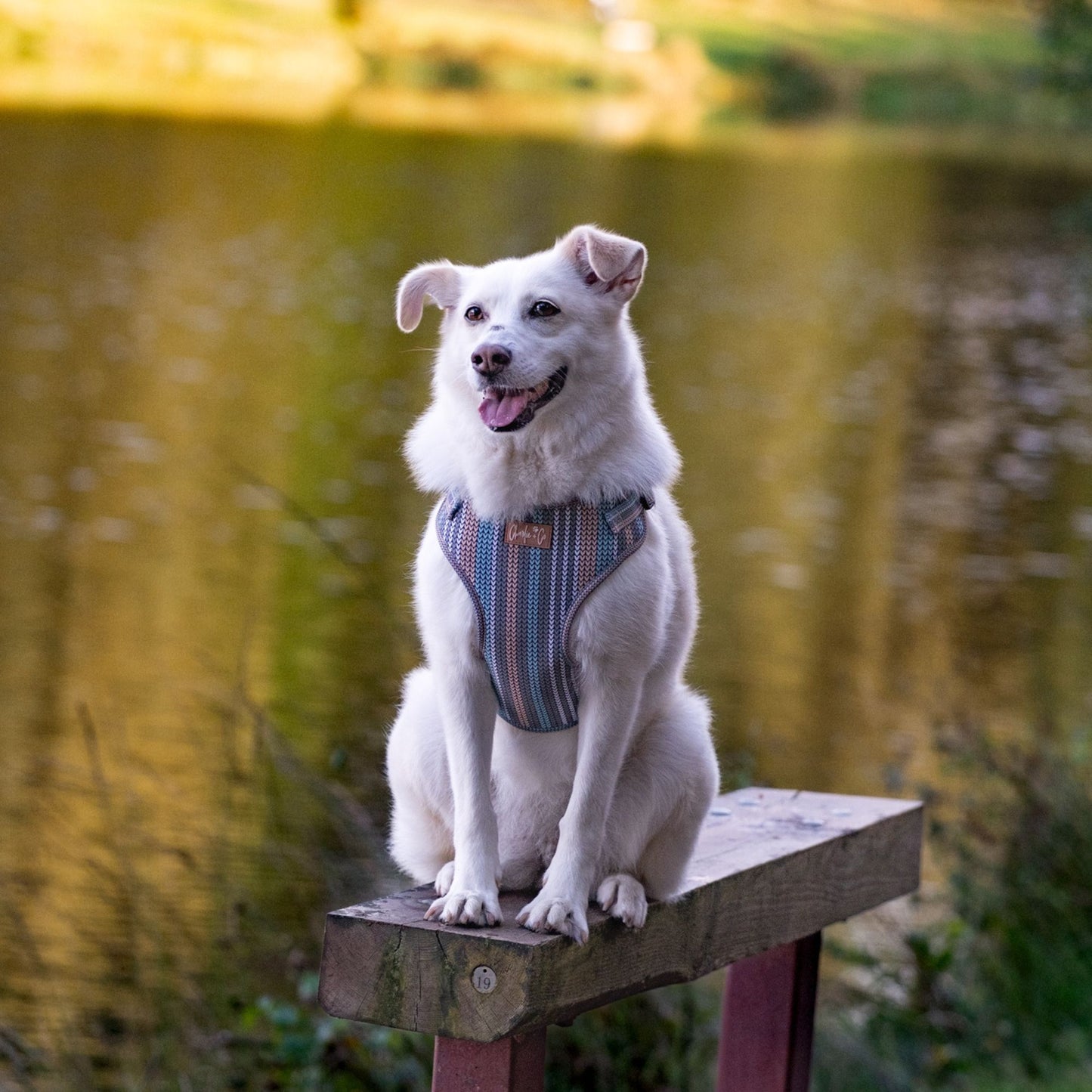 Made With Woof - Step In Harness
