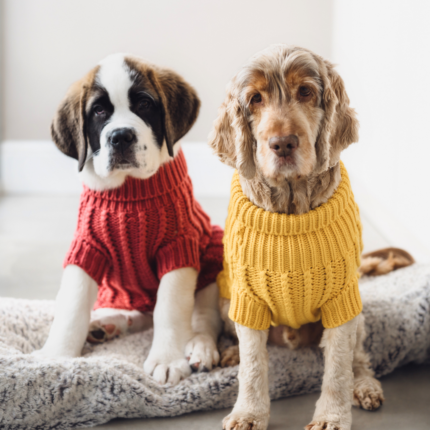 Cable Knit Jumper - Plum
