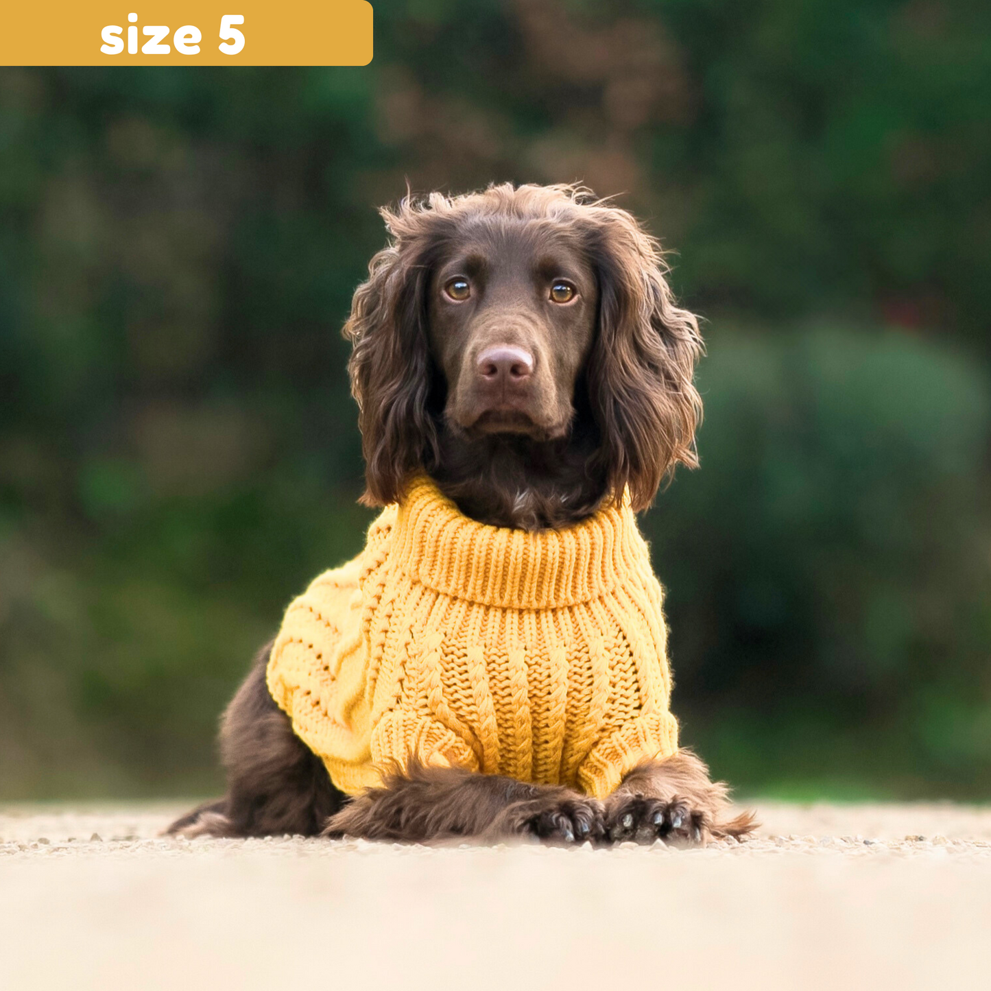 Cable Knit Jumper - Mustard