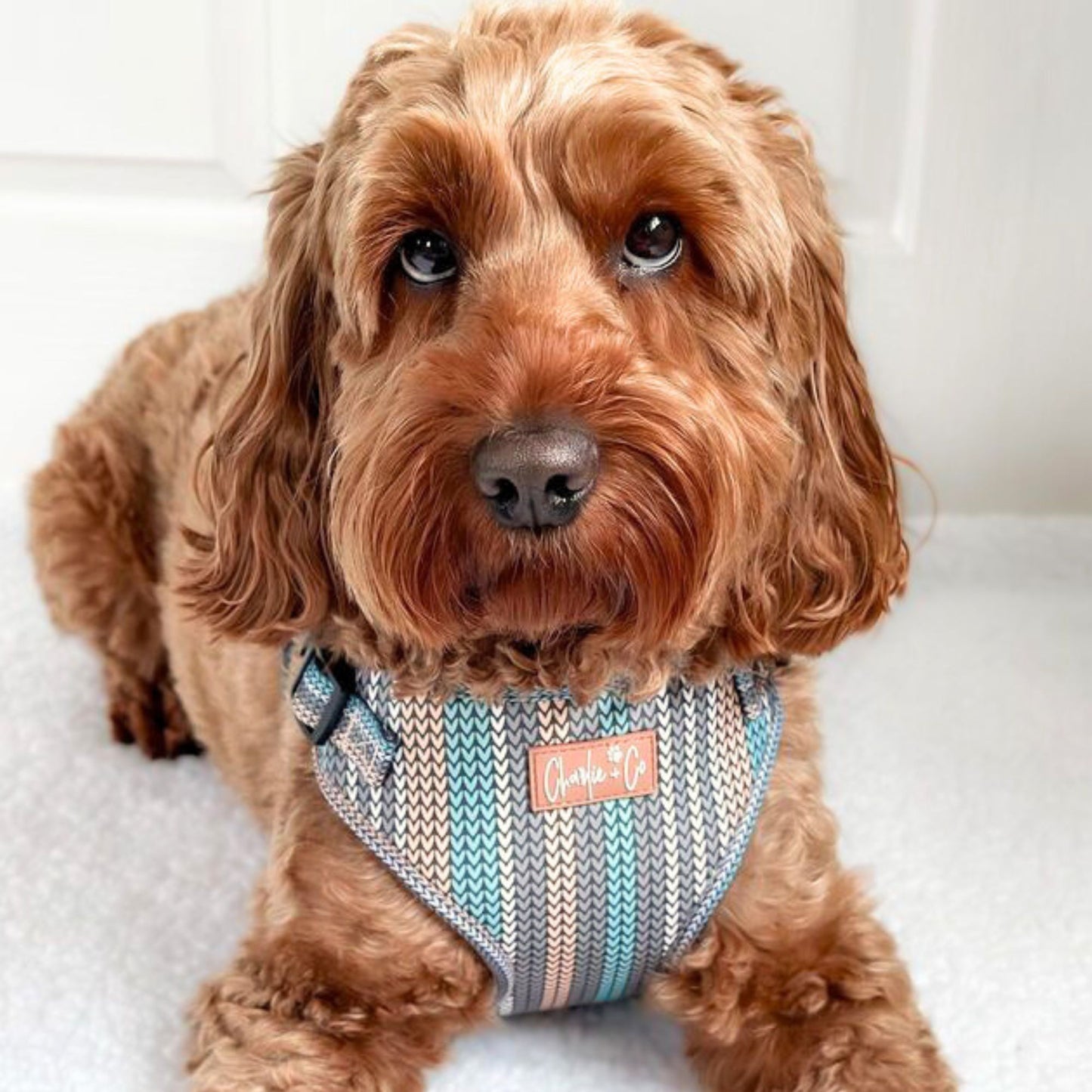 Made With Woof - Step In Harness