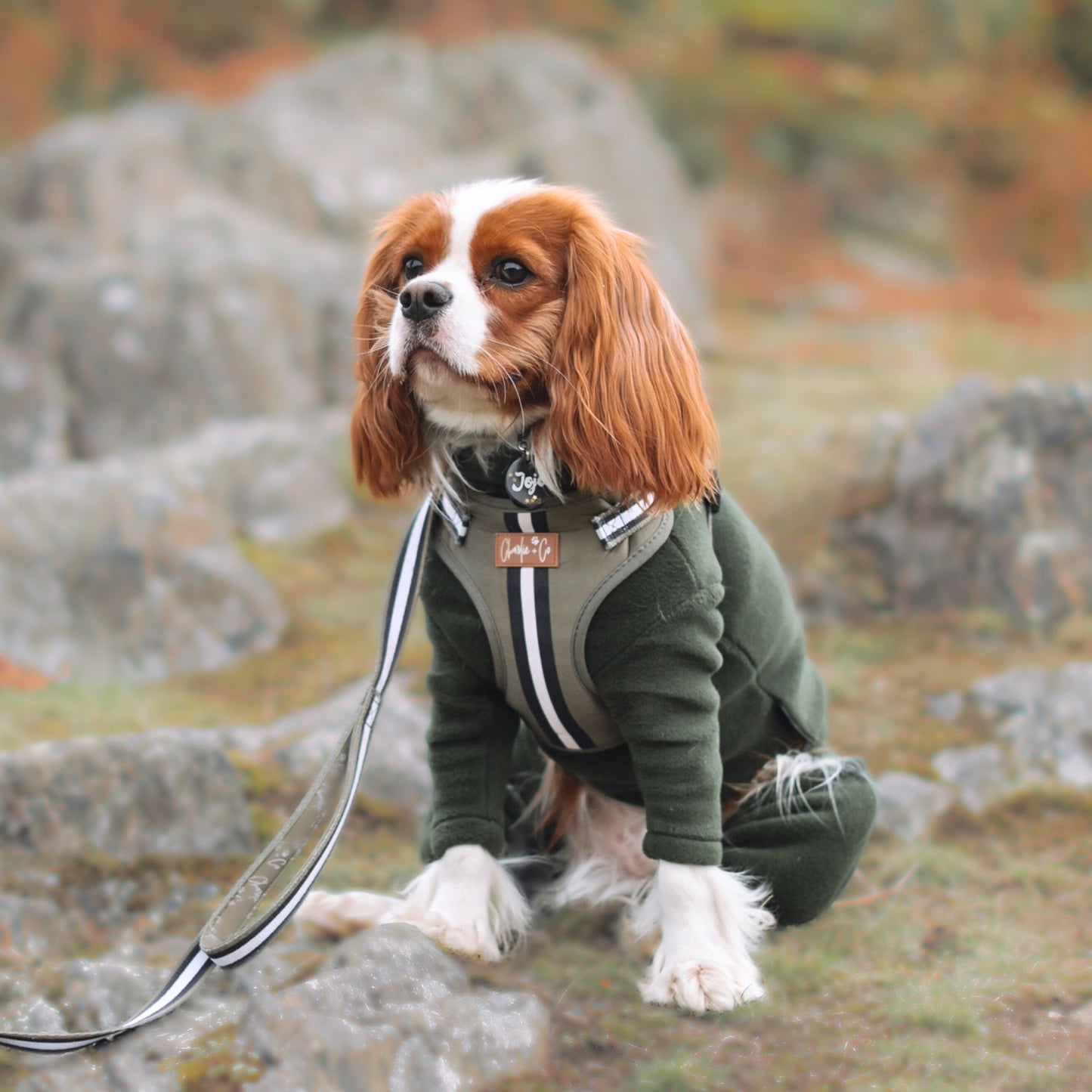 Barky Khaki - Step-in Harness