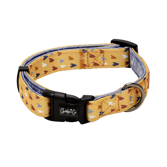Mustard Been Love - Collar