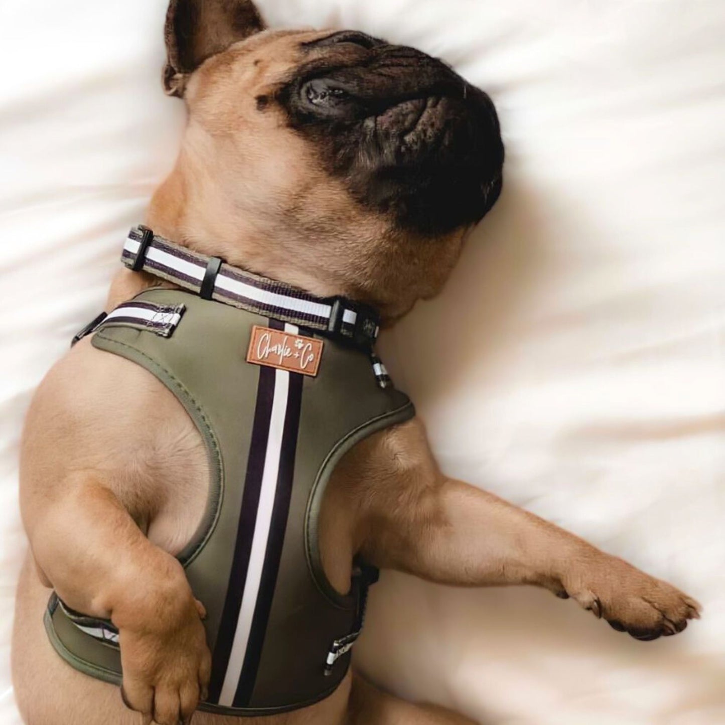 Barky Khaki - Step-in Harness