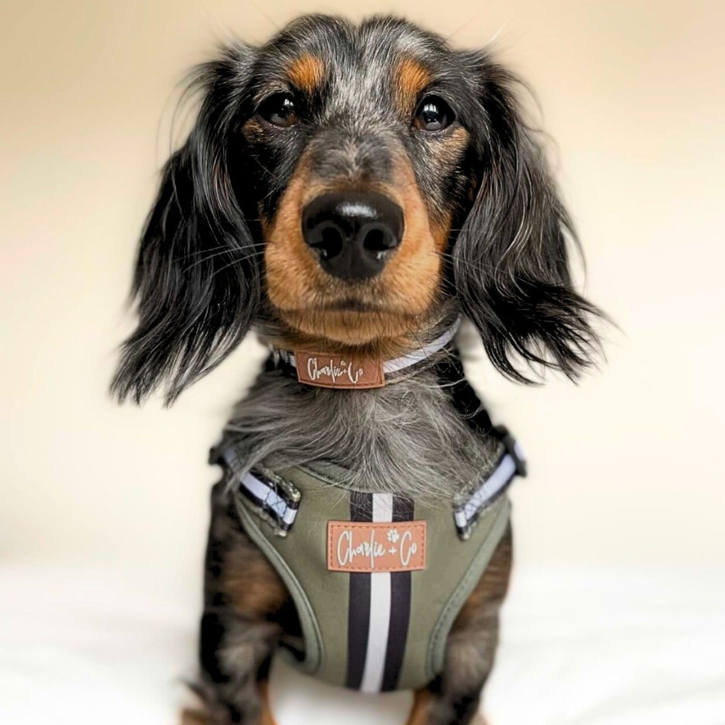 Barky Khaki - Step-in Harness