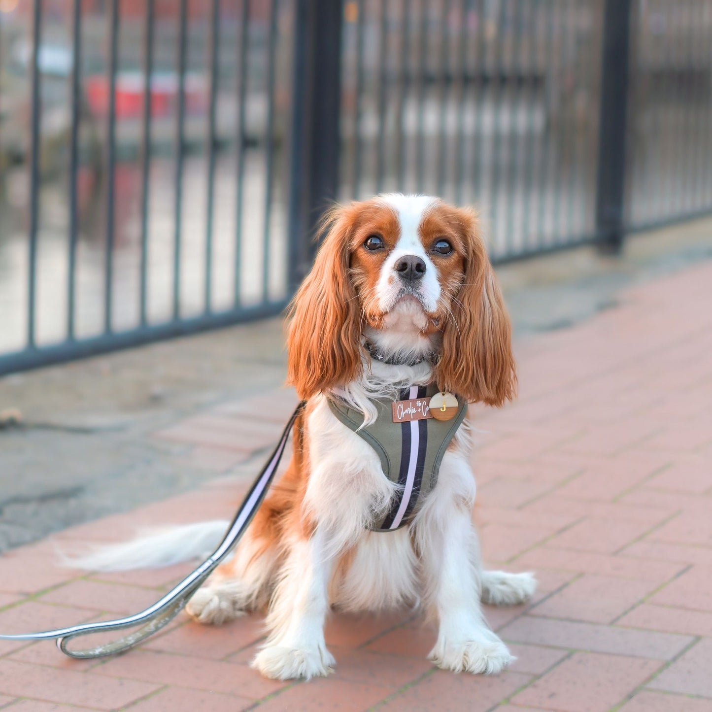 Barky Khaki - Step-in Harness