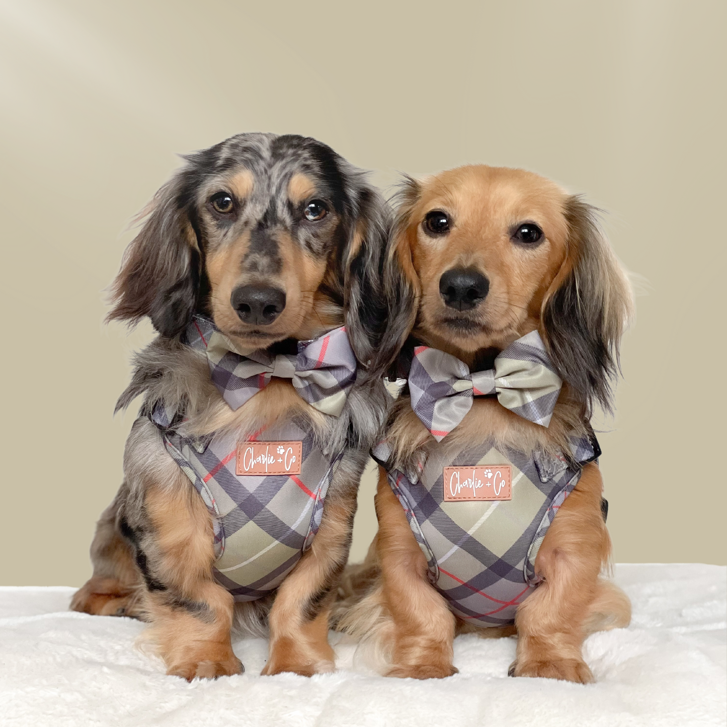Highland Hound - Step-in Harness