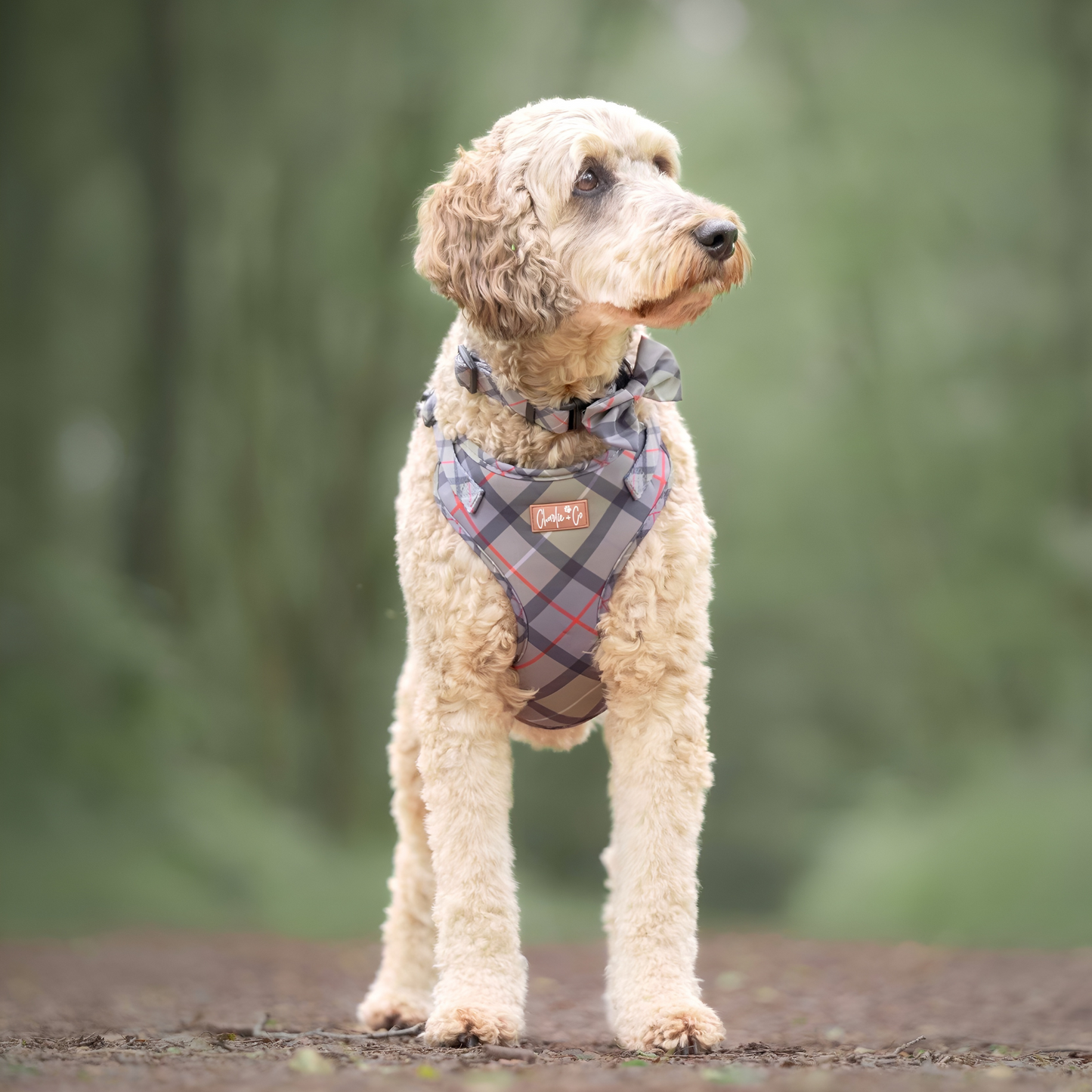 Highland Hound - Step-in Harness