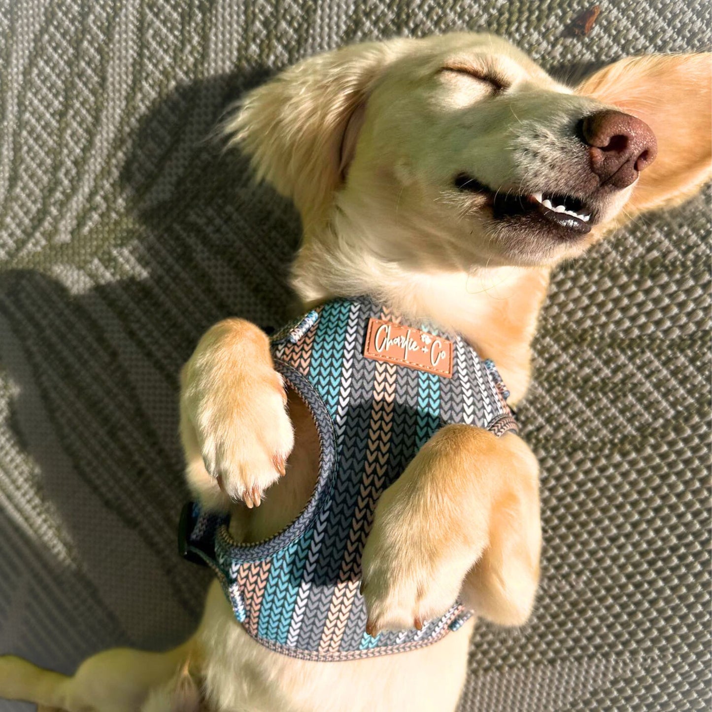 Made With Woof - Step In Harness