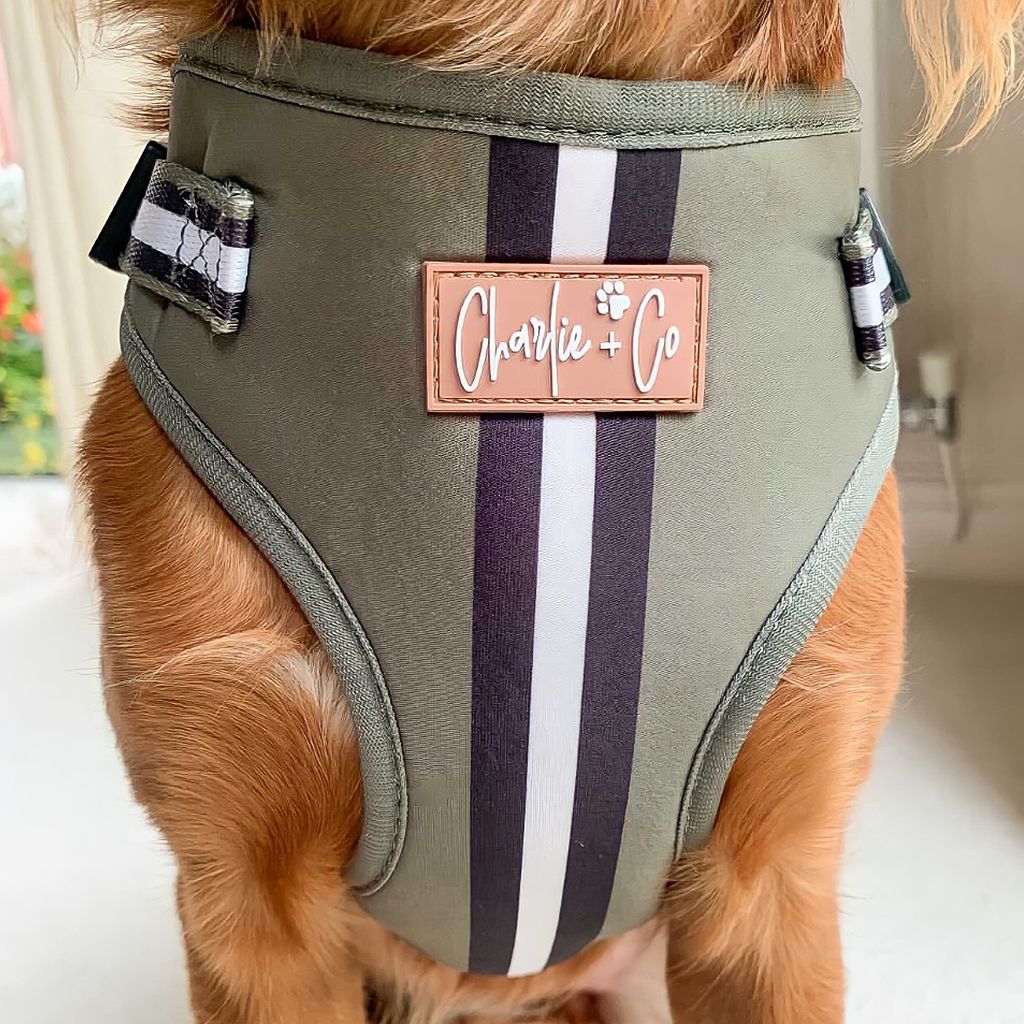 Barky Khaki - Step-in Harness