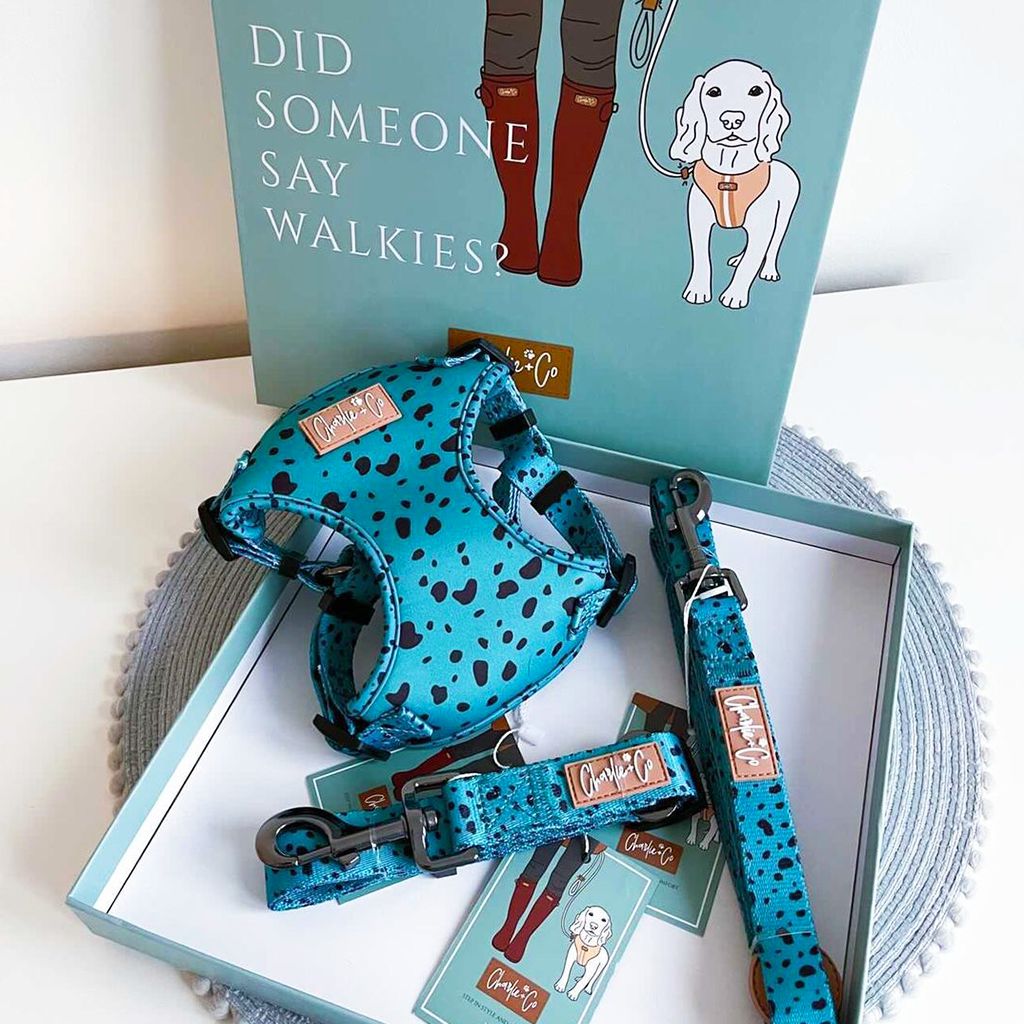 Keep it Teal - Step-in Harness