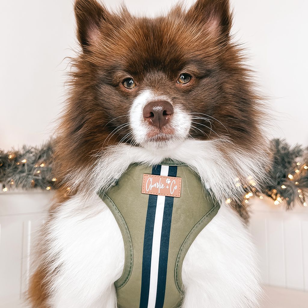 Barky Khaki - Step-in Harness