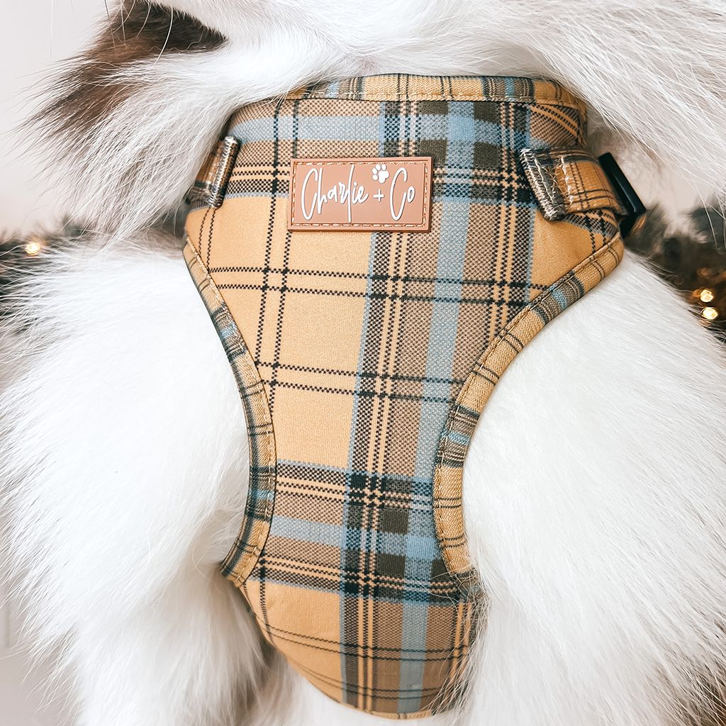 Check Him Out - Step-in Harness