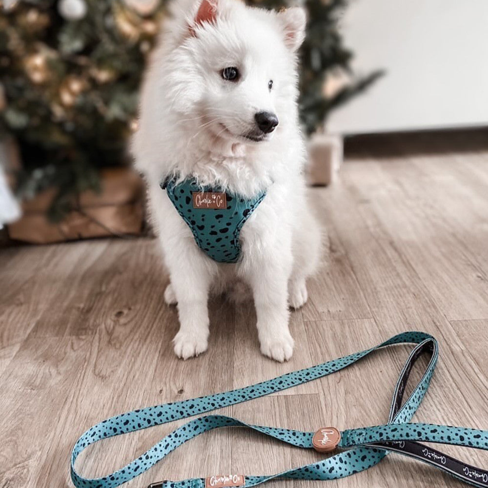 Keep it Teal - Step-in Harness