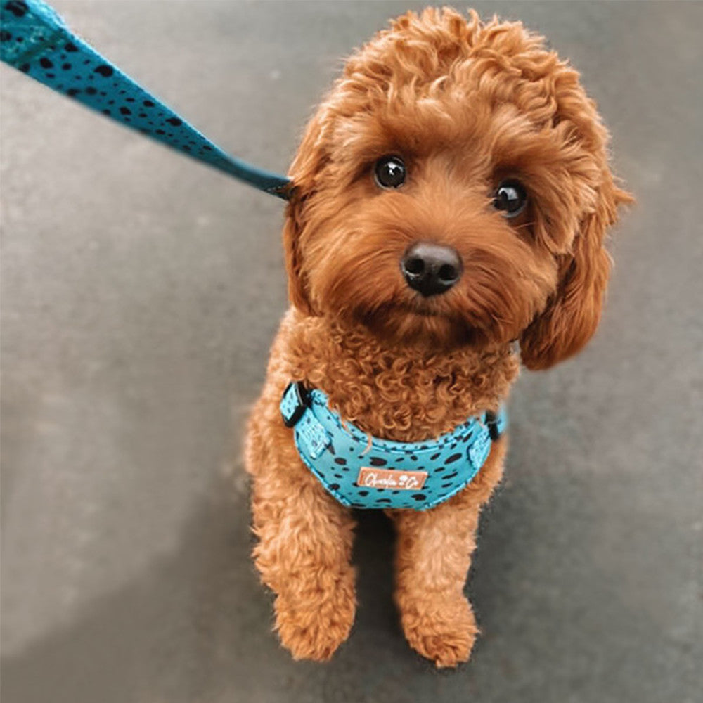 Keep it Teal - Step-in Harness