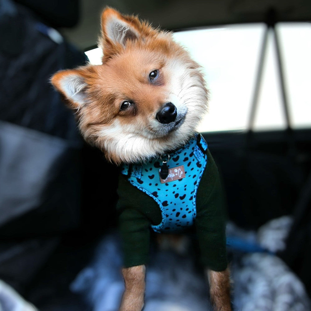 Keep it Teal - Step-in Harness