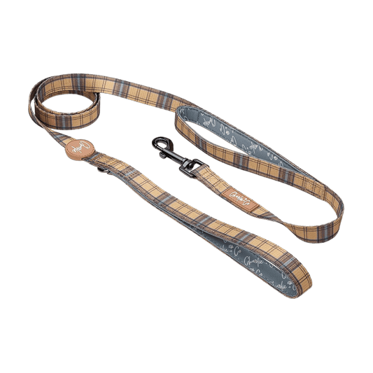 Check Him Out - Lead