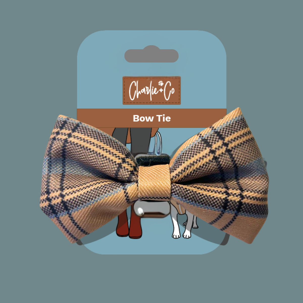 Check Him Out - Bow Tie