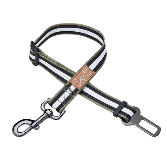 Barky Khaki - Seatbelt