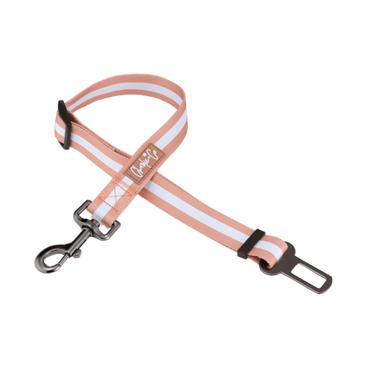 Life's a Peach - Seatbelt