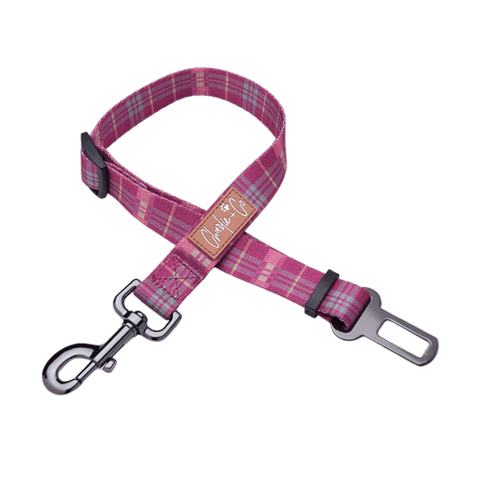 Check Her Out - Seatbelt