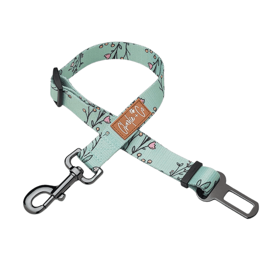 Are You FLOREAL? - Seatbelt