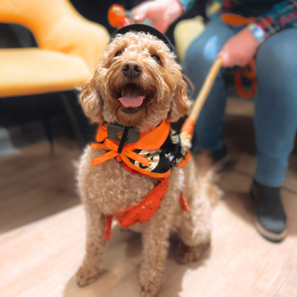 HOWL-O-WEEN PAWTY