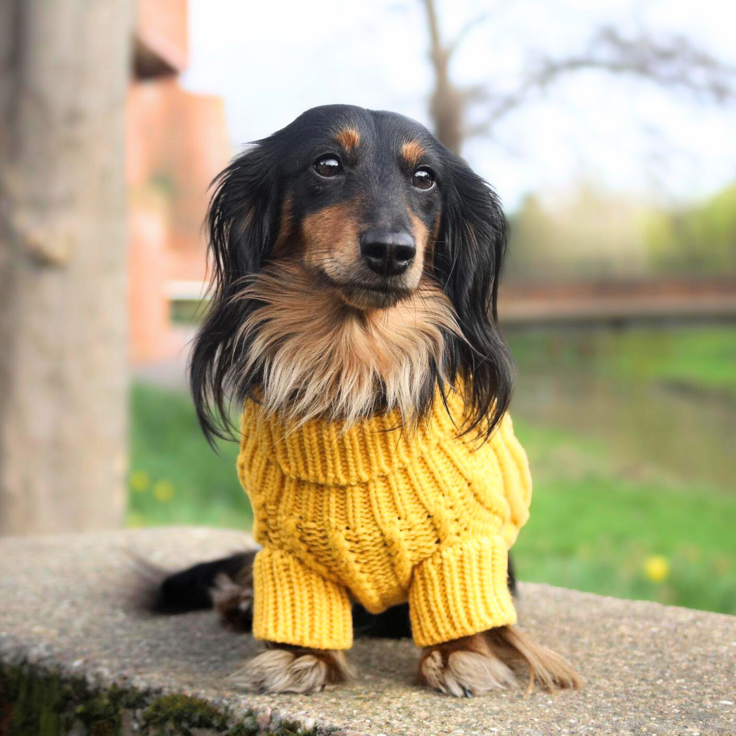 Cable Knit Jumper - Mustard