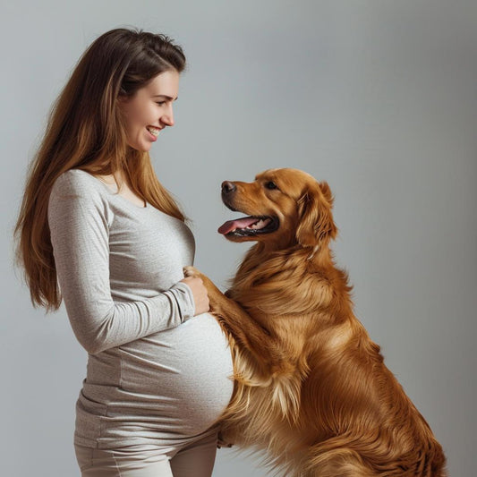 Preparing Your Dog For A Baby
