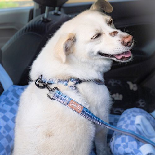 Made With Woof - Seatbelt