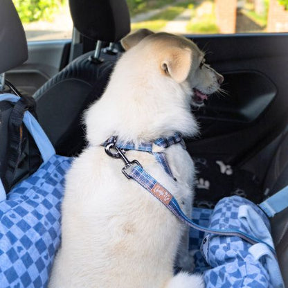 Made With Woof - Seatbelt