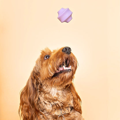 Tumble Twist - Purple
