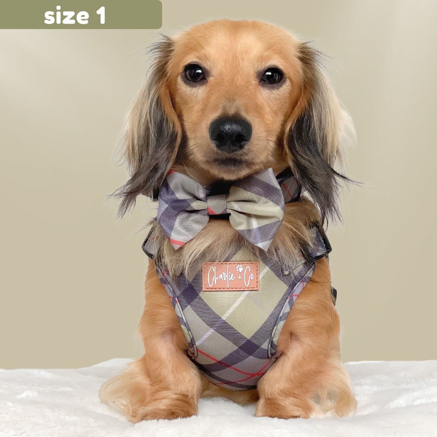 Highland Hound - Step-in Harness