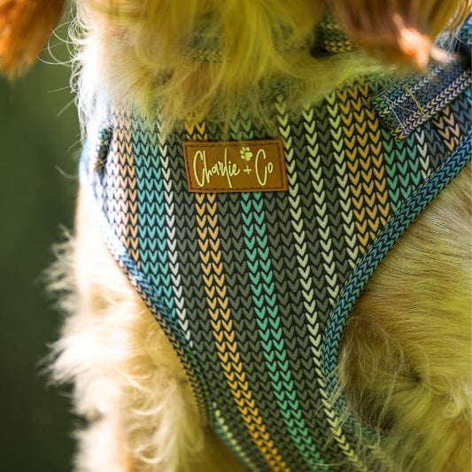 Made With Woof - Step In Harness